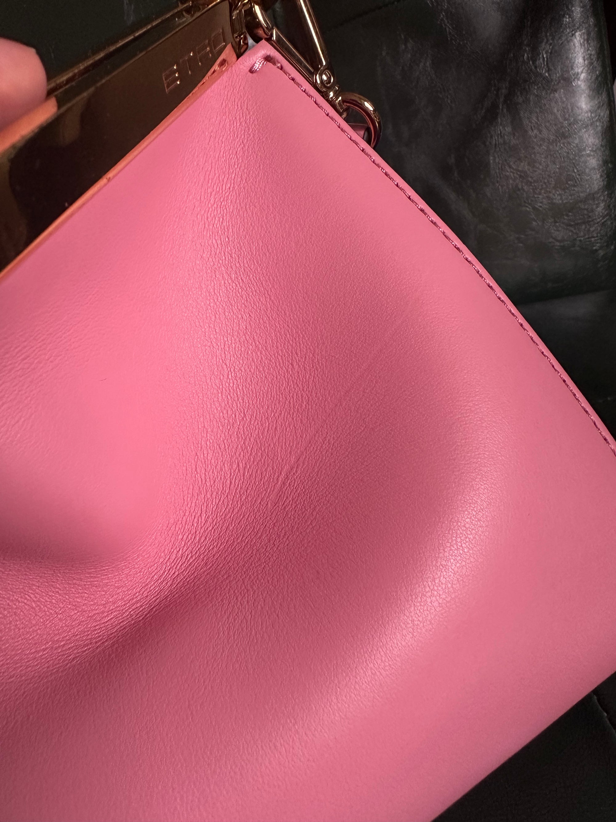 Etro Vela Bag Size Small - Bubblegum Pink